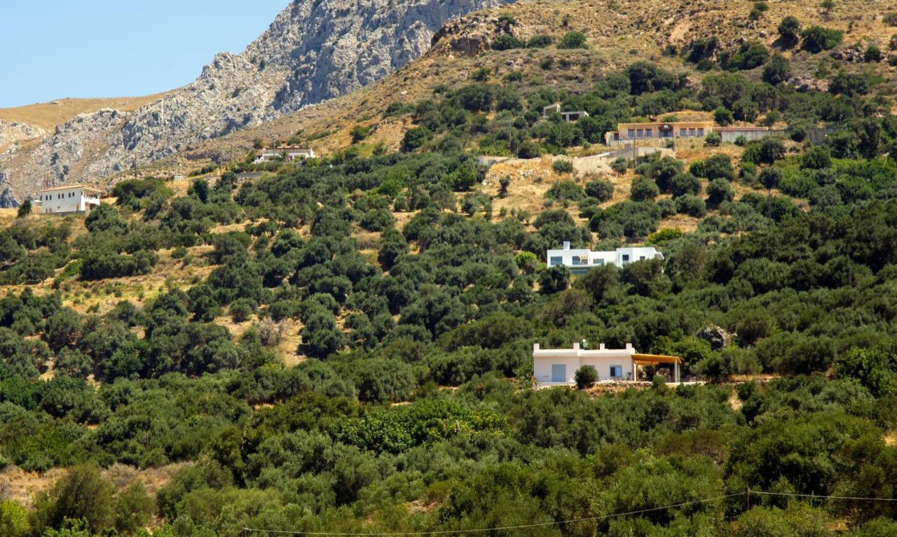 Almond Cottage With A Sea View Above Plakias Ngoại thất bức ảnh